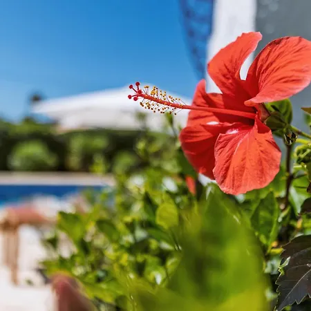 Casa Roncadell Villa Jávea